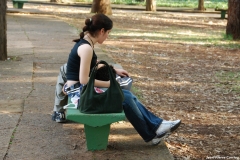 parc_0101_b