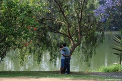 parc_0126_b