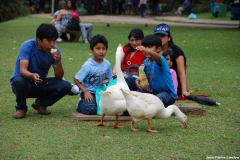 parc_0387_b