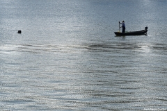 DSC_2416_DxO_b