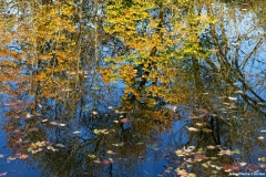 D85_2562_DxO_b