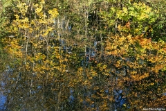 D85_2579_DxO_b