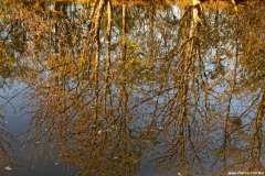 D85_2604_DxO_b