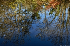D85_2606_DxO_b