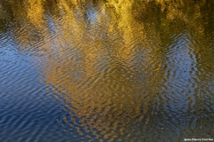 D85_2620_DxO_b