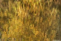 D85_2625_DxO_b