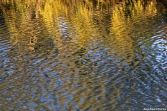 D85_2677_DxO_b
