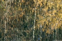 D85_2710_DxO_b