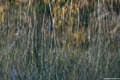 D85_2739_DxO_b