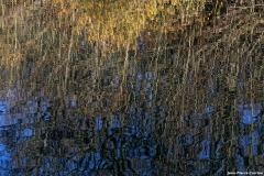 D85_2750_DxO_b