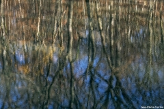 D85_2763_DxO_b