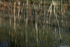 D85_2778_DxO_b