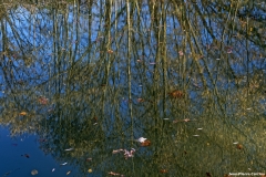 D85_2803_DxO_b