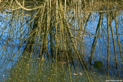 D85_2815_DxO_b