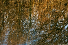 D85_2924_DxO_b