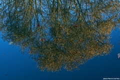 D85_2928_DxO_b