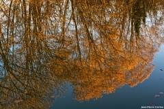 D85_2939_DxO_b