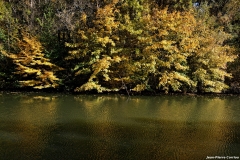 DSC5710_DxO_b