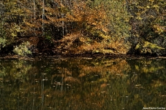 DSC5937_DxO_b