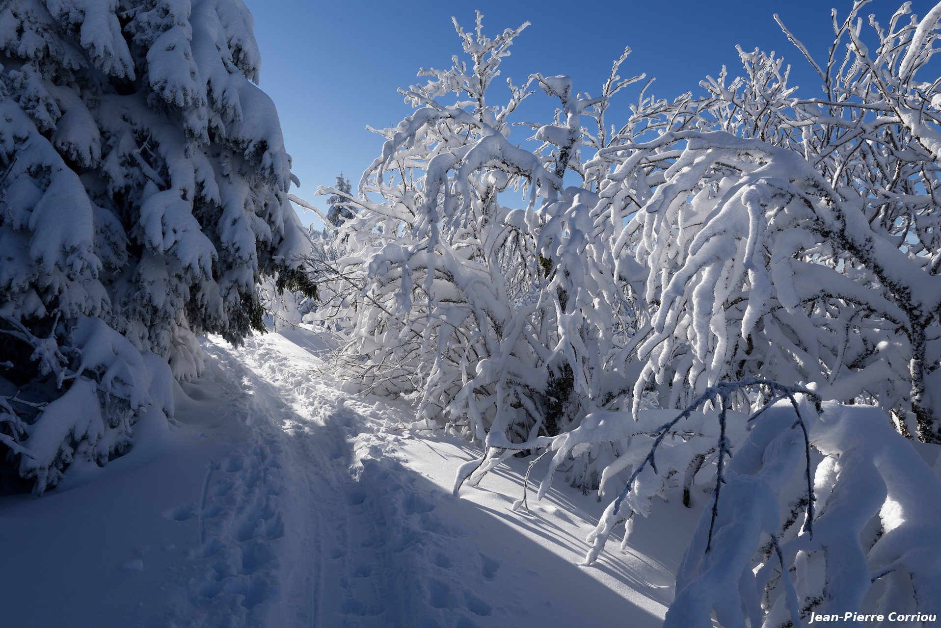 Ancienne piste de Retournemer