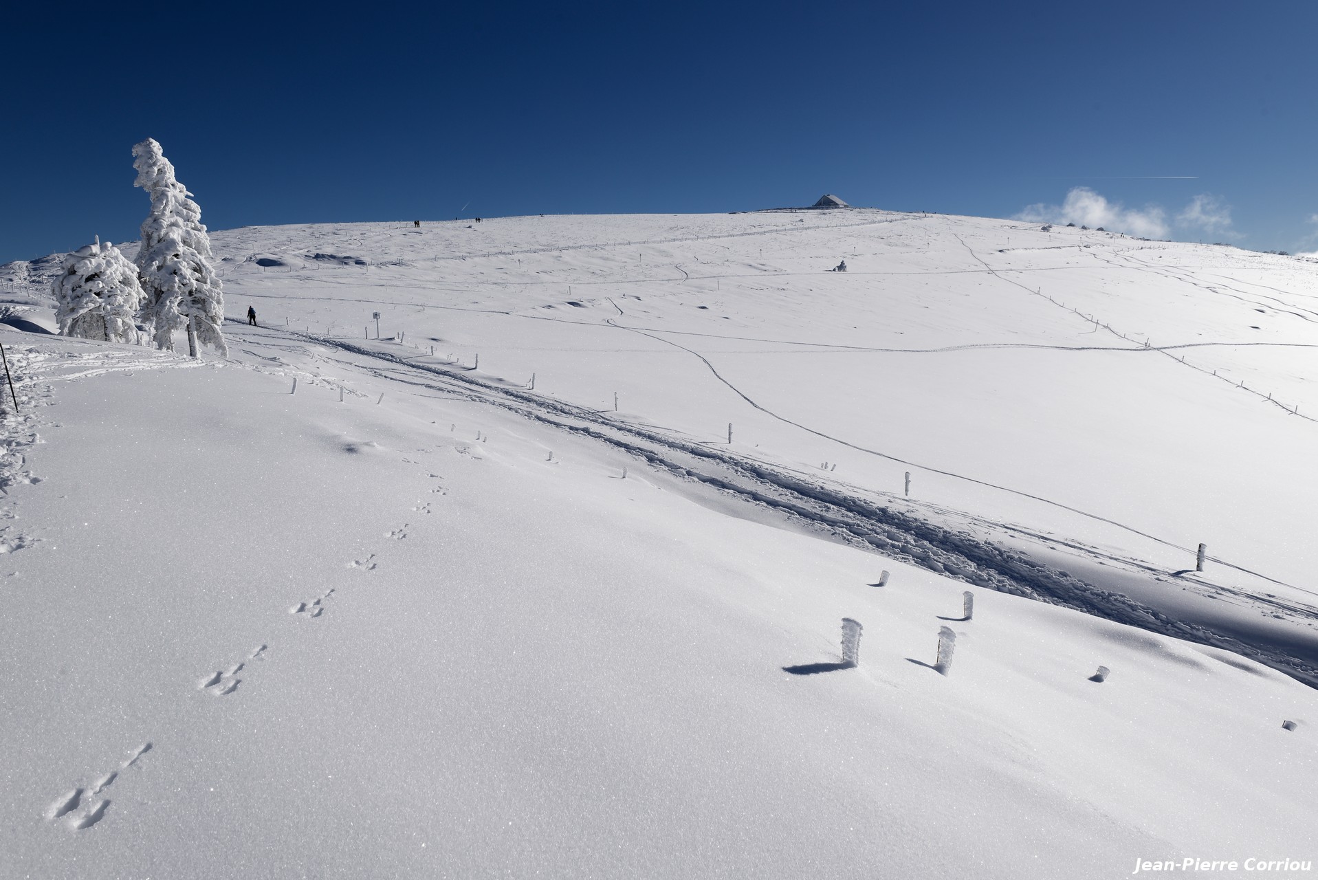 Montée au Hohneck