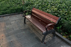 DSC_2305_DxO_b