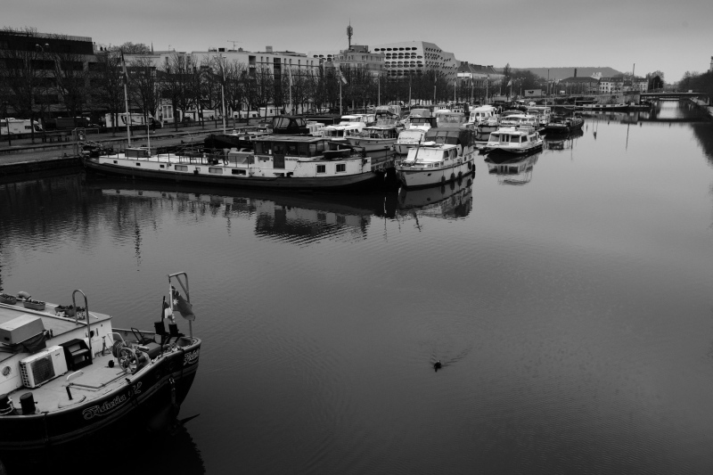 D85_0816_DxO_b