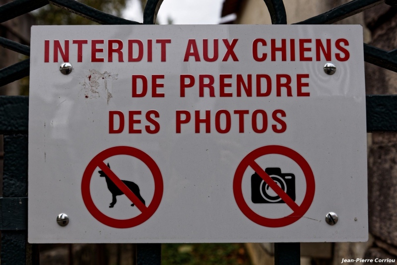 DSC0351_DxO_b