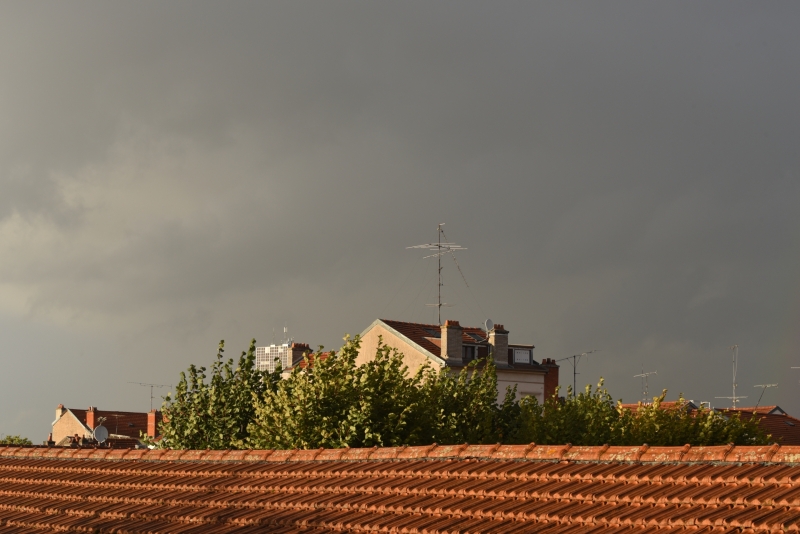 DSC_1528a