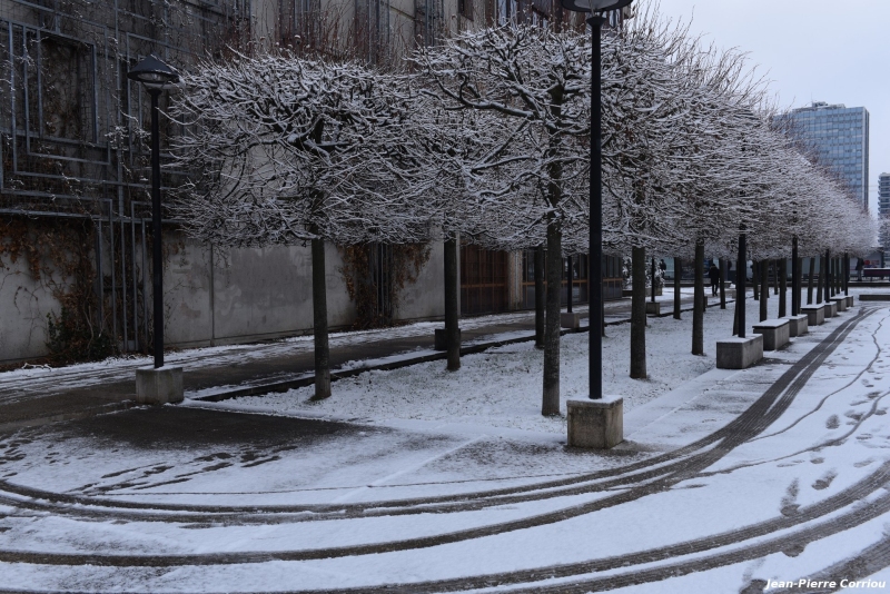 DSC_6250_b