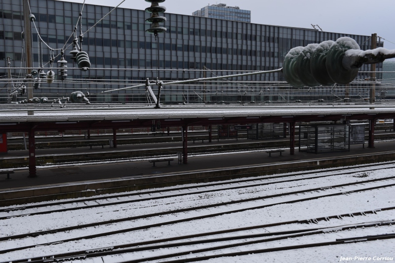 DSC_6261_b