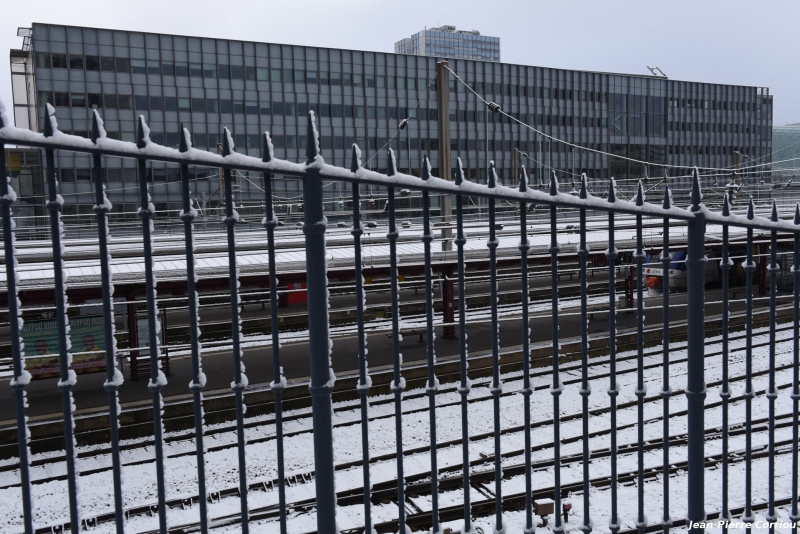 DSC_6264_b