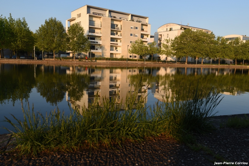 DSC_8891_b